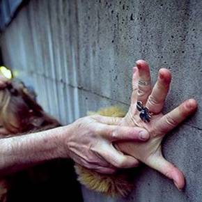 Αιχμάλωτοι στις πόλεις τους οι Σουηδοί: Η αστυνομία προειδοποίησε τις γυναίκες να μην κυκλοφορούν νύχτα λόγω μουσουλμάνων&nbsp;προσφύγων!