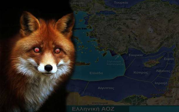 tourkiki-alepou-sto-pazari-eyropis-AOZ