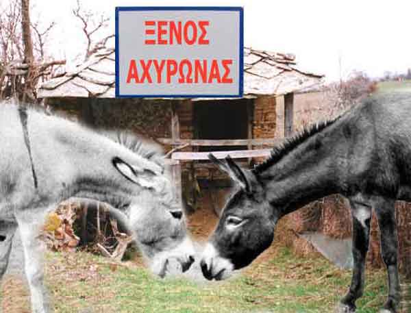 ΞΕΝΟΣ-ΑΧΥΡΩΝΑΣ