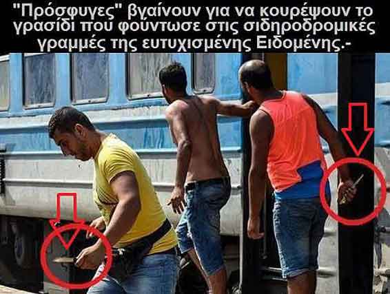 cf80cf81cf8ccf83cf86cf85ceb3ceb5cf82-cebcceb1cf87ceb1ceb9cf81cebfceb2ceb3ceaccebbcf84ceb5cf82