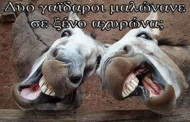 Δυο-γαϊδαροι-μαλώνανε-σε-ξένο-αχυρώνα