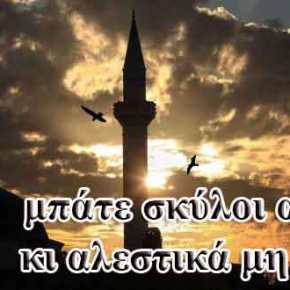 ΠΟΘΕΝ ΕΣΧΕΣ στη Θράκη δεν υπάρχει; Αλόγιστες αγορές γης από&nbsp;μουσουλμάνους