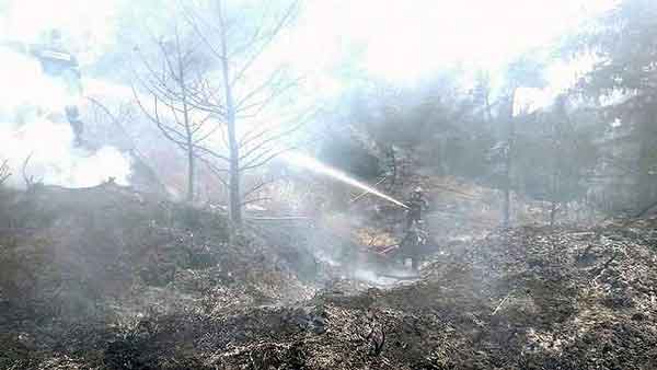 c57273efc40d91a9af3a316b2477b9b0