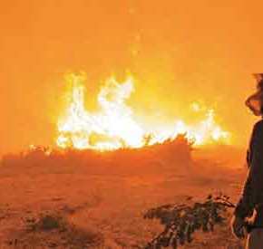 ΕΘΝΙΚΗ ΚΑΤΑΣΤΡΟΦΗ! Στο 90% η απώλεια από την πυρκαγιά στις καλλιέργειες των&nbsp;μαστιχόδεντρων