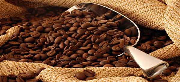 coffeebeans-600x275