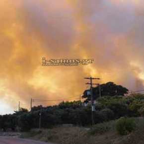 Συναγερμός στη Σάμο: Στις φλόγες το νησί – Ανεξέλεγκτα τα πύρινα μέτωπα (φωτό, vid)&nbsp;(upd)