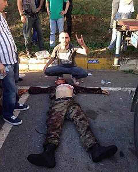 grizoi_lykoi-240x300