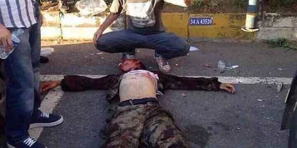 grizoi_lykoi-660x330