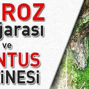 «Η ΣΠΗΛΙΑ ΤΟΥ ΚΟΚΟΡΑ» ΤΩΝ ΠΟΝΤΙΩΝ ΠΟΥ… ΤΡΕΛΑΝΕ ΤΟΥΣ&nbsp;ΤΟΥΡΚΟΥΣ!