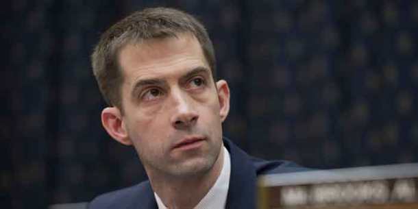 tom-cotton