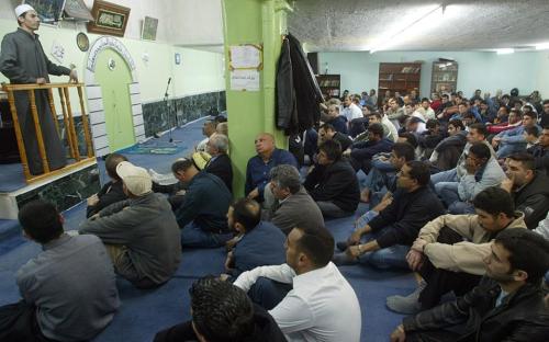 tzami1-thumb-large-thumb-large