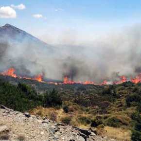 Ανεξέλεγκτη η φωτιά στην&nbsp;Κάρυστο