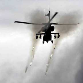 ΣΑΡΙΣΑ 2016 με Seals από το φακό του Νίκου&nbsp;Παναγιωτόπουλου