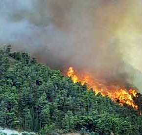 ΑΝΕΞΕΛΕΓΚΤΗ Η ΦΩΤΙΑ ΣΤΗ ΘΑΣΟ: Εγκλωβίστηκαν βουλευτές του ΣΥΡΙΖΑ – Κάηκαν σπίτια, τραυματίστηκε&nbsp;πυροσβέστης!