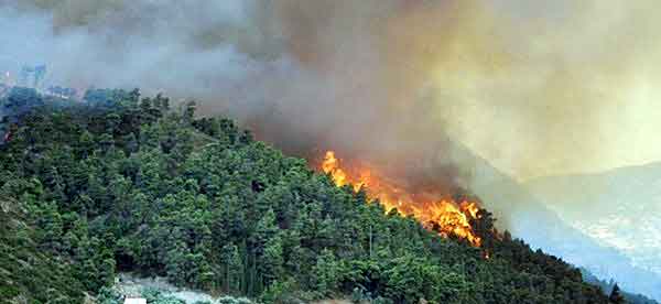 fotia_thasos-600x276