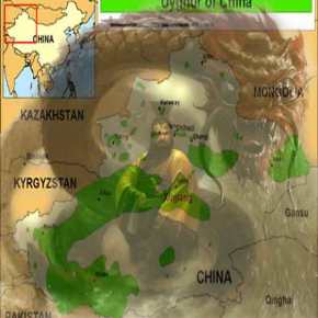 ΜΕ ΑΠΕΙΛΗΤΙΚΕΣ ΔΙΑΘΕΣΕΙΣ ΟΙ ΚΙΝΕΖΟΙ ΣΤΟ ΥΠΟΓΑΣΤΡΙΟ ΤΗΣ&nbsp;ΤΟΥΡΚΙΑΣ