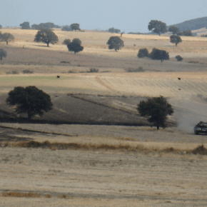 ΣΥΝΑΓΕΡΜΟΣ «ΔΟΡΥ-1»! Ουλαμός Αρμάτων στη&nbsp;Σαμοθράκη