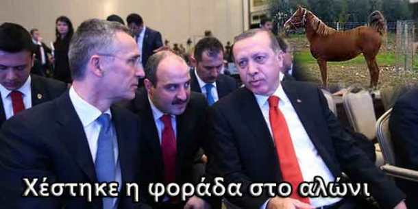 erdogan_nato-660x330