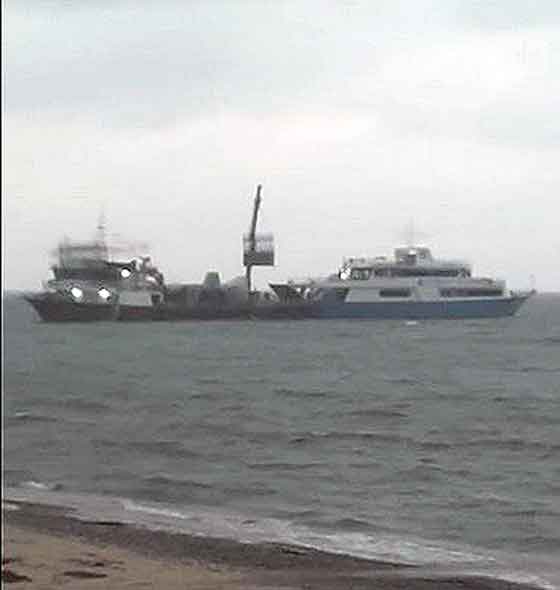 alcatras_metafortosi