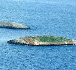 Νέα ένταση στα Ίμια: Οπλισμένα ελληνικά και τουρκικά σκάφη σε απόσταση αναπνοής  ΣΚΑΦΗ ΤΟΥ Λ.Σ. ΠΡΟΣΤΑΤΕΨΑΝ ΤΑ ΕΛΛΗΝΙΚΑ ΑΛΙΕΥΤΙΚΑ ΑΠΟ ΤΙΣ ΤΟΥΡΚΙΚΕΣ&nbsp;ΑΚΤΑΙΩΡΟΥΣ