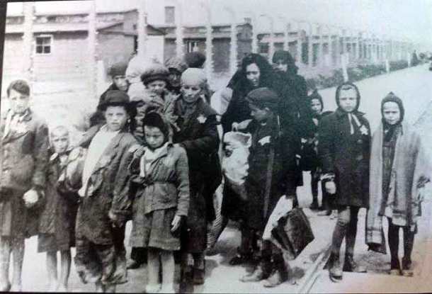 aousvits_paidakia_eisodos-768x523