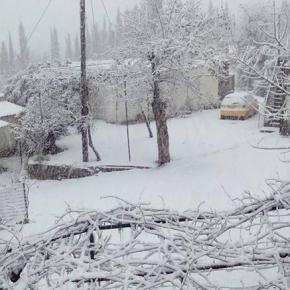 Στα «λευκά» η χώρα από την Πάτρα μέχρι τη Μυτιλήνη&nbsp;Φωτογραφίες.