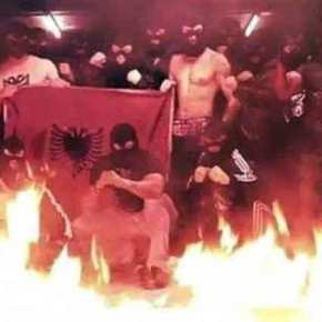 Κατσαπλιάδες τρομοκρατούν τα χωριά των Ιωαννίνων: «Βρισκόμαστε στο έλεος Αλβανών κακοποιών» λένε οι&nbsp;κάτοικοι