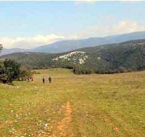 ΞΕΦΡΑΓΟ ΑΜΠΕΛΙ Η ΕΛΛΑΔΑ! Σύρος αγόρασε οικόπεδο και το έκανε μουσουλμανικό&nbsp;νεκροταφείο