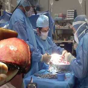 «Σφάζουν ζωντανά τα προσφυγόπουλα οι Τούρκοι και τους παίρνουν τα όργανα»! (Σκληρό&nbsp;βίντεο)