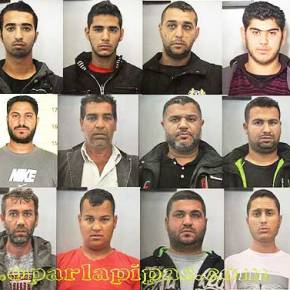 ΑΥΤΑ ΔΕΝ ΓΙΝΟΝΤΑΙ ΠΟΥΘΕΝΑ! «ΕΥΠΑΘΗΣ» ΕΜΦΑΝΙΣΤΗΚΕ ΣΕ ΑΣΤΥΝΟΜΙΚΟ ΤΜΗΜΑ ΓΙΑ ΝΑ… ΚΑΤΑΤΑΧΘΕΙ ΣΤΗΝ&nbsp;ΑΣΤΥΝΟΜΙΑ!