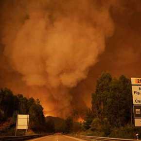 Γροθιά στο στομάχι οι εικόνες φρίκης από το δάσος της κολάσεως στη&nbsp;Πορτογαλία