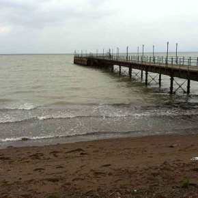 “Βάτραχος” ήρωας σώζει δυο αδέλφια από βέβαιο&nbsp;πνιγμό!