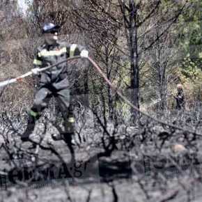 Στις φλόγες το Κρυονέρι Αττικής- Επιχειρούν τρία αεροσκάφη από αέρος (φωτό, βίντεο)&nbsp;(upd)