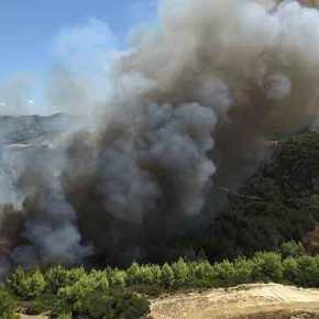 Ρωσία: Σε εξέλιξη σχέδιο εμπρησμών στην Ελλάδα – Η Ελλάδα δεν θέλει τη βοήθεια&nbsp;μας!