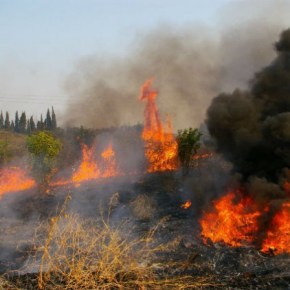 Στη μάχη με τα πύρινα&nbsp;μέτωπα
