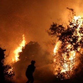 ΤΕΡΑΣΤΙΑ ΚΑΤΑΣΤΡΟΦΗ: ΚΑΗΚΕ Ο ΚΑΛΑΜΟΣ, ΚΑΙΓΕΤΑΙ Ο ΒΑΡΝΑΒΑΣ&nbsp;(PHOTOS)