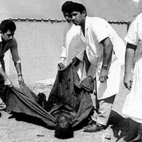 Σκληρή ανακοίνωση ΥΠΕΞ κατά Άγκυρας για εορτασμό Τηλλυρίας: «Δεν ντρέπεστε να εορτάζετε την ρίψη χημικών&nbsp;όπλων;»