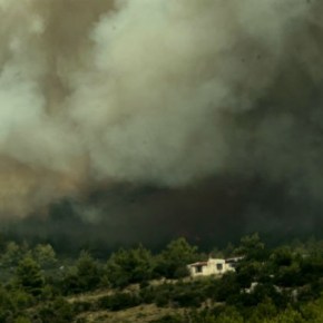 Εκεί όπου κάποτε ήταν&nbsp;δάσος…
