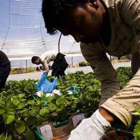 Κατάσχουν τα χωράφια των Ελλήνων που φόρτωσαν με φόρους και την ίδια στιγμή δίνουν τζάμπα σε μετανάστες αγροτική γη και&nbsp;επιδοτήσεις