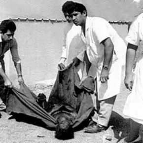 Όταν η αλητεία των ναπάλμ βαφτίζεται “περήφανη νίκη”! Το τουρκικό ΥΠΕΞ&nbsp;προκαλεί