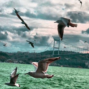 Τέρμα οι ανοχές, έρχονται άλλες εποχές που δεν θα θυμόμαστε την&nbsp;τουρκία!