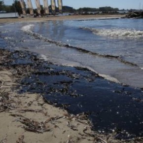 ΟΙΚΟΛΟΓΙΚΗ «ΒΟΜΒΑ»: ΑΠΟ ΤΗ ΣΑΛΑΜΙΝΑ ΕΦΤΑΣΕ ΣΤΗ ΓΛΥΦΑΔΑ Η&nbsp;ΡΥΠΑΝΣΗ!