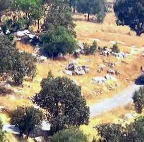 Βίντεο: Κούρδοι διαλύουν τουρκικό τεθωρακισμένο ανθεκτικό σε&nbsp;νάρκες