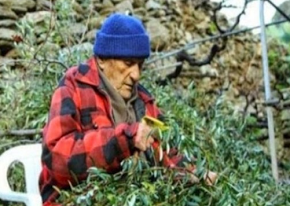 Οι γιατροί του έδιναν 9 μήνες και του πρότειναν χημειοθεραπείες- Αυτός πήγε στην Ικαρία και έζησε μέχρι τα 102&nbsp;!!!