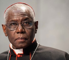 Αφρικανός καρδινάλιος: «Μερικοί έχοντας ως πρόσχημα το Ευαγγέλιο θέλουν να προωθήσουν την πολυπολιτισμικότητα και την μαζική&nbsp;μετανάστευση»