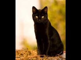 Αλλαγή είδους από τον 1ο&nbsp;μήνα