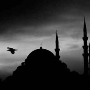 Βούλγαρος ιστορικός: «Μόλις τελειώσουν με τους Κούρδους οι Τούρκοι θα έρθουν απο&nbsp;εδώ»