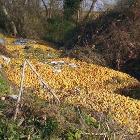 Γιατί Πετάγαμε την Αγροτική μας Παραγωγή στις&nbsp;Χωματερές