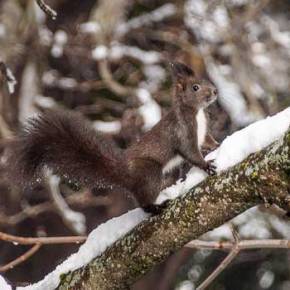 Καλλιάνος: Έρχεται ξηρό κρύο με χιονοπτώσεις και στην&nbsp;Αττική
