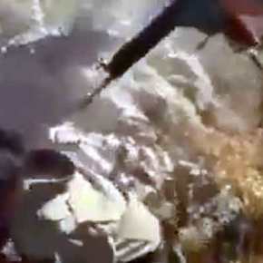 Εκτελούν Εν Ψυχρώ Αντάρτισσες Των Κούρδων! Βίντεο Ντροπή Που Δείχνει Τη Βαρβαρότητα Των&nbsp;Τούρκων